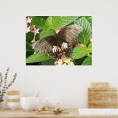 Scarlet Swallowtail Butterfly Macro Print (Keuken)