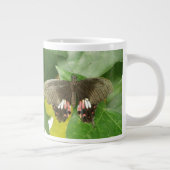 Scarlet Swallowtail Butterfly Mok (Rechts)