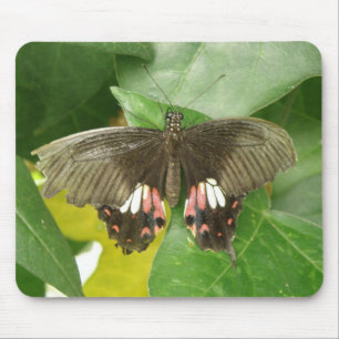 Scarlet Swallowtail Butterfly Mousepad Muismat