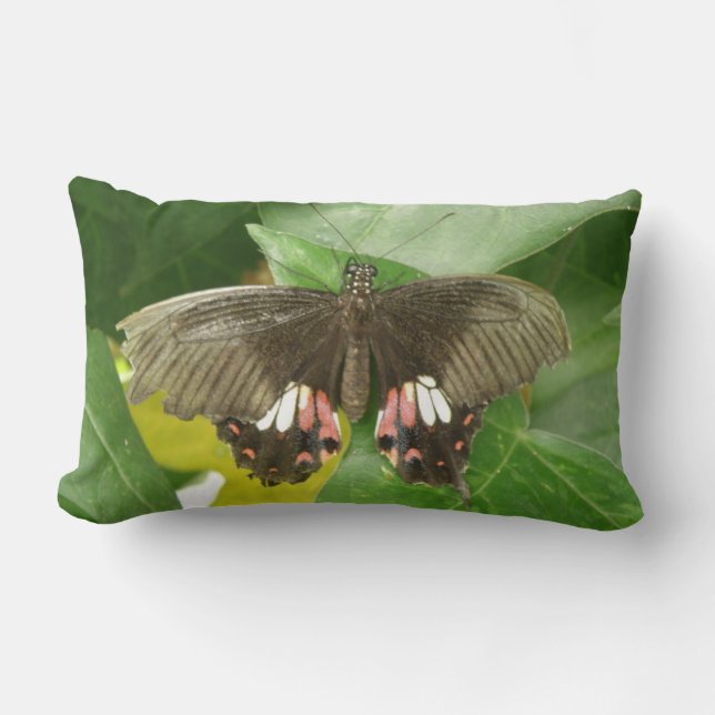 Scarlet Swallowtail Butterfly Pillow Kussen (Voorkant)