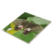 Scarlet Swallowtail Butterfly Tile Tegeltje (Zijkant)