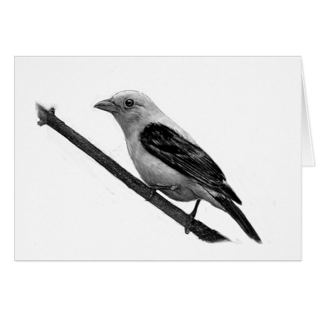 Scarlet Tanager (Voorkant Horizontaal)