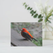 Scarlet Tanager Bird Briefkaart (Staand voorkant)