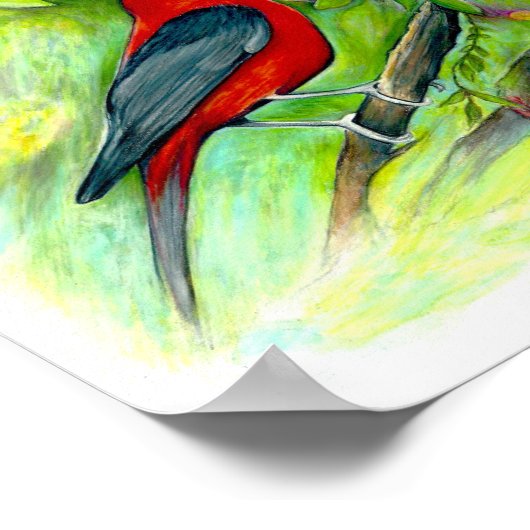 Scarlet Tanager Birds Waterverf Art Print (Hoek)