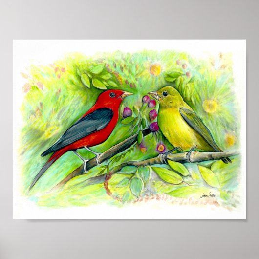 Scarlet Tanager Birds Waterverf Art Print (Voorkant)