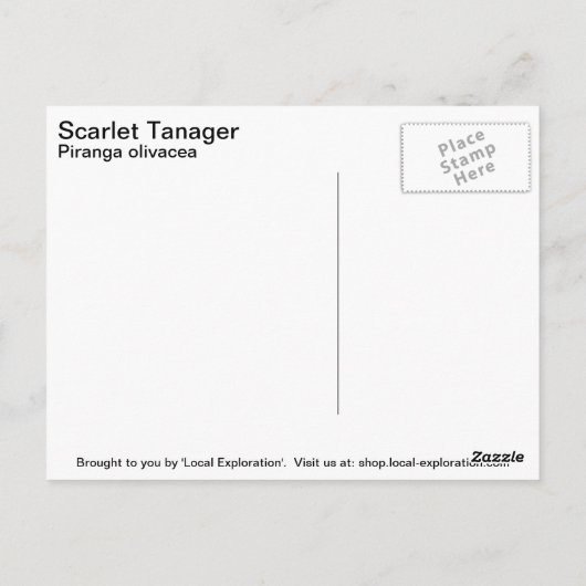 Scarlet Tanager Briefkaart (Achterkant)