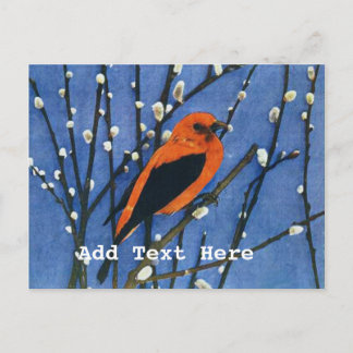 Scarlet Tanager Briefkaart