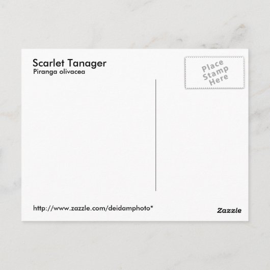 Scarlet Tanager Briefkaart (Achterkant)