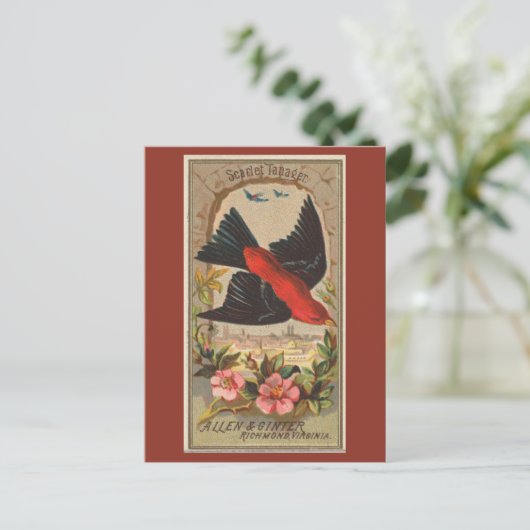 Scarlet Tanager Briefkaart (Staand voorkant)