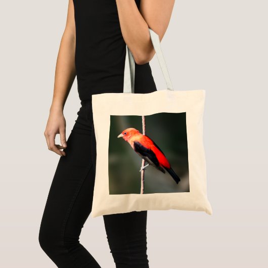 Scarlet Tanager Budget Canvas tas (Voorkant (product))