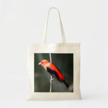 Scarlet Tanager Budget Canvas tas