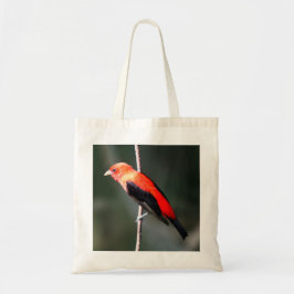 Scarlet Tanager Budget Canvas tas