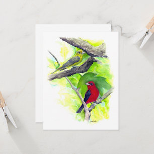 Scarlet Tanager Couple Note Kaart