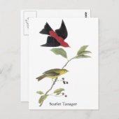 Scarlet Tanager - John James Audubon Briefkaart (Voorkant / Achterkant)