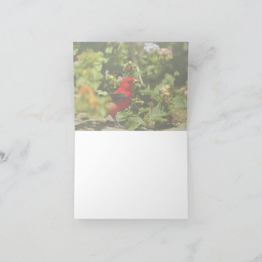 Scarlet Tanager Kaart (Binnen)