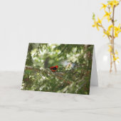 Scarlet Tanager Kaart (Gele Bloem)
