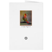 Scarlet Tanager Molting - Originele foto (Achterkant)