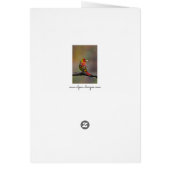 Scarlet Tanager Molting - Originele foto (Achterkant)