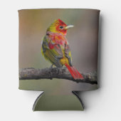 Scarlet Tanager Molting - Originele foto Blikjeskoeler (Voorkant)