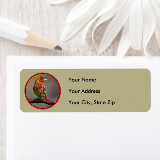 Scarlet Tanager Molting - Originele foto Etiket (Insitu)