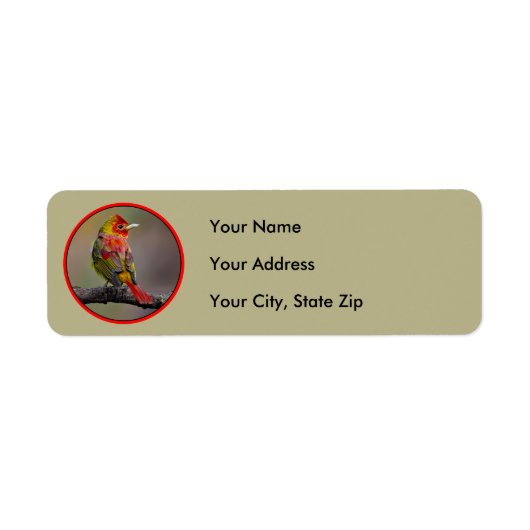 Scarlet Tanager Molting - Originele foto Etiket (Voorkant)