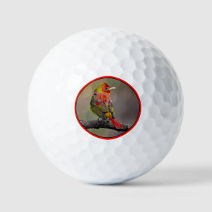 Scarlet Tanager Molting - Originele foto Golfballen