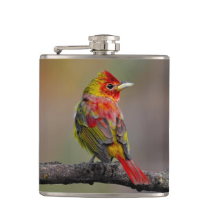 Scarlet Tanager Molting - Originele foto Heupfles