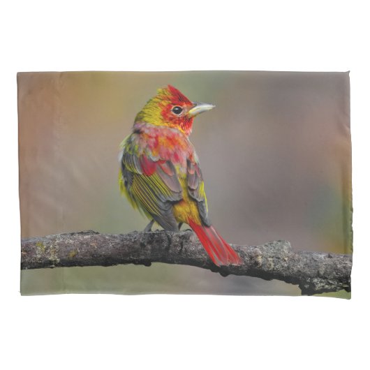 Scarlet Tanager Molting - Originele foto Kussensloop (Voorkant)