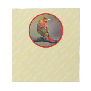 Scarlet Tanager Molting - Originele foto Notitieblok