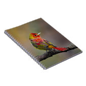 Scarlet Tanager Molting - Originele foto Notitieboek (Rechterzijde)