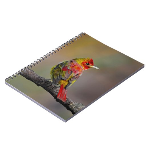 Scarlet Tanager Molting - Originele foto Notitieboek (Linkerzijde)