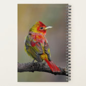 Scarlet Tanager Molting - Originele foto Planner (Achterkant)