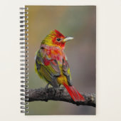 Scarlet Tanager Molting - Originele foto Planner (Voorkant)