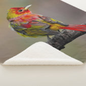 Scarlet Tanager Molting - Originele foto Sherpa Deken (3/4)