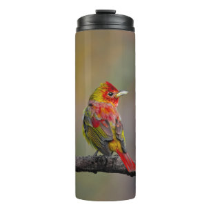 Scarlet Tanager Molting - Originele foto Thermosbeker