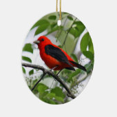 Scarlet Tanager Ornament (Rechts)