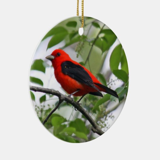 Scarlet Tanager Ornament (Rechts)