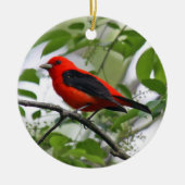 Scarlet Tanager Ornament (Voorkant)