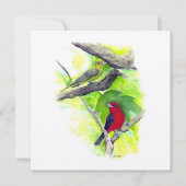 Scarlet Tanager Paar Kunst (Voorkant)