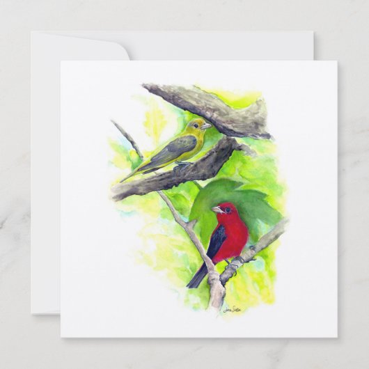 Scarlet Tanager Paar Kunst (Voorkant)