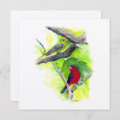 Scarlet Tanager Paar Kunst (Voorkant / Achterkant)