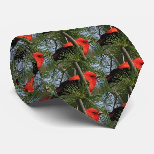 Scarlet Tanager Stropdas (Opgerold)