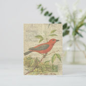 Scarlet Tanager  Vogelkooi Dragonfly Briefkaart (Staand voorkant)