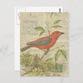 Scarlet Tanager  Vogelkooi Dragonfly Briefkaart (Voorkant / Achterkant)