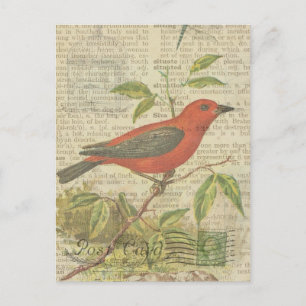 Scarlet Tanager  Vogelkooi Dragonfly Briefkaart