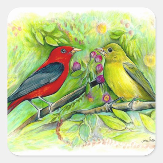 Scarlet Tanagers Bird Art Vierkante Sticker (Voorkant)