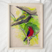 Scarlet Tanagers Birds Waterverf Art Print