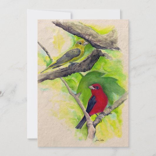 Scarlet Tanagers Birds Waterverf Bedankt (Voorkant)