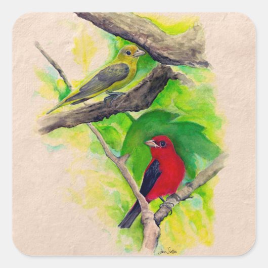 Scarlet Tanagers Painting Square Vierkante Sticker (Voorkant)