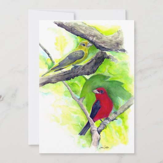 Scarlet Tanagers Vogels Waterverf schilderen Bedankkaart (Voorkant)
